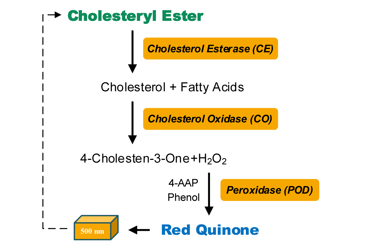 总胆固醇含量检测试剂盒图2