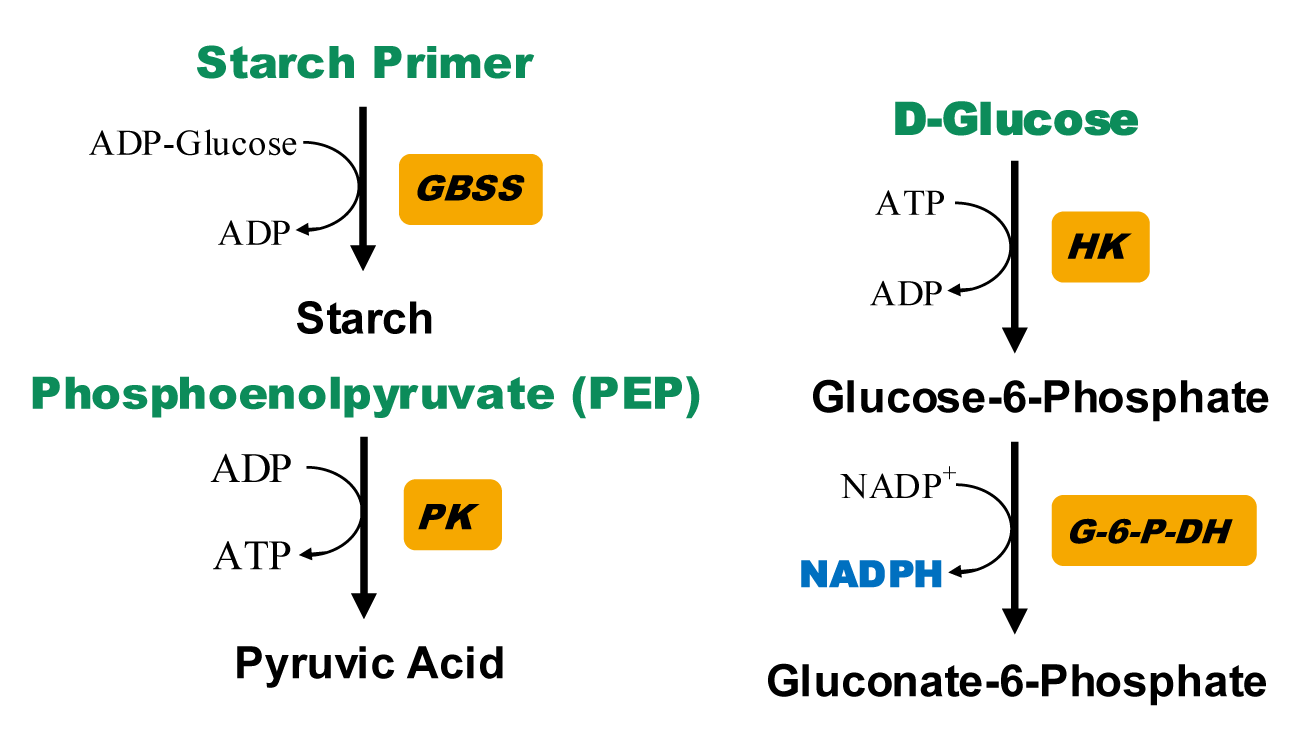 结合态淀粉合成酶活性检测试剂盒原理图
