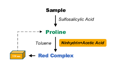 脯氨酸含量(RRO)检测试剂盒图2