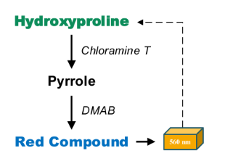 羟脯氨酸含量检测试剂盒图3
