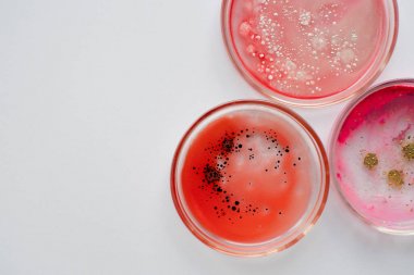细菌脂多糖(LPS)elisa检测试剂盒图3 细菌脂多糖(LPS)elisa检测试剂盒图3