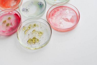 胞浆异柠檬酸脱氢酶活性检测试剂盒图1 胞浆异柠檬酸脱氢酶活性检测试剂盒图1