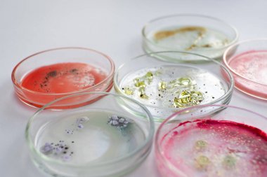 细胞色素b5含量检测试剂盒图 细胞色素b5含量检测试剂盒图