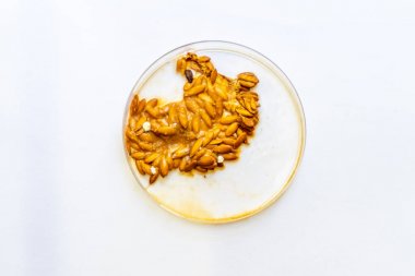 人花生四烯酸(AA)elisa试剂盒 人花生四烯酸(AA)elisa试剂盒