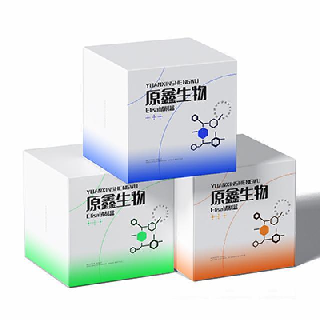 牛奶-内酰胺酶(-lactamase)ELISA试剂盒