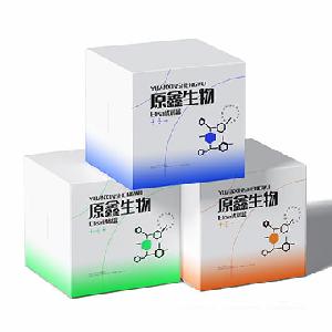 辅酶Ⅱ NADP（H）含量检测试剂盒生产厂家